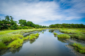 Fototapeta na wymiar View of a wetland from Uncle Tim's Bridge, in Wellfleet, Cape Co