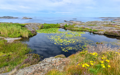Beautiful summer sea coast scenery in Scandinavia