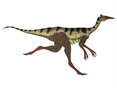 Pelecanimimus Side Profile - Pelecanimimus was a carnivorous theropod dinosaur that lived in the Cretaceous Period of Spain.