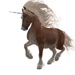 Shetland Unicorn - A fantasy animal that is a cross of the Shetland pony and the Unicorn of folklore and legend. © Catmando