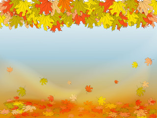 Naklejka na ściany i meble Autumn background with colorful maple leaves