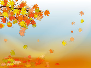 Fototapeta na wymiar Autumn background with colorful maple leaves