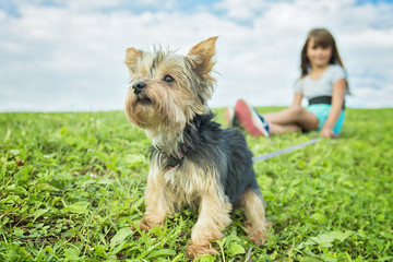 portrait of girl keeping pretty dog outdoor