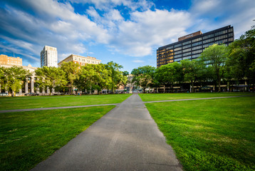 Walkways at the New Haven Green and buildings in downtown New Ha - obrazy, fototapety, plakaty