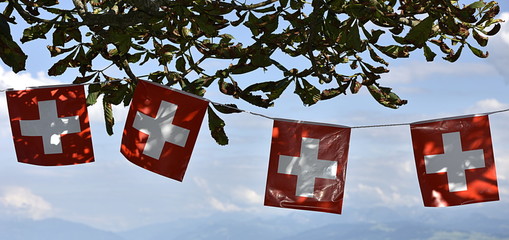drapeaux suisse
