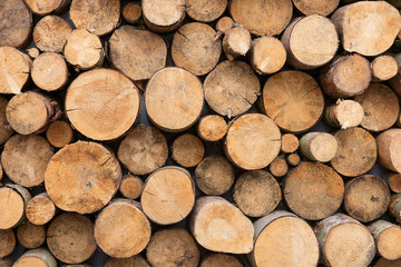 wood logs