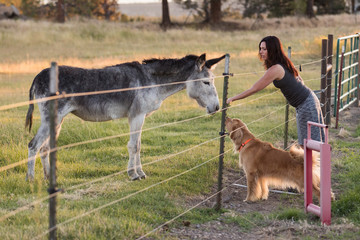 woman and dog meeting a donkey at a farm