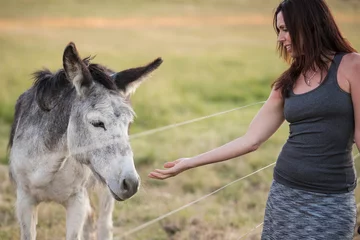Photo sur Plexiglas Âne femme visitant un âne dans une ferme