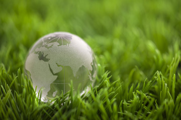 Fototapeta na wymiar Crystal globe on green grass. World environmental concept.
