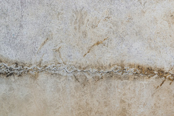 Mold and Crack wall