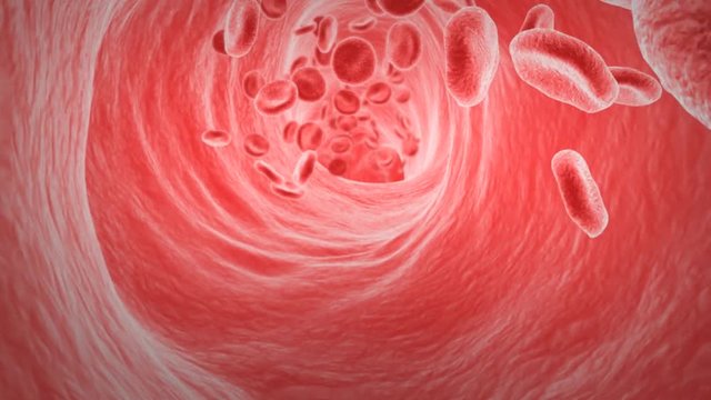 Blood flow animation.