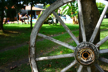 Roda de Carro&ccedil;a decorando jardim