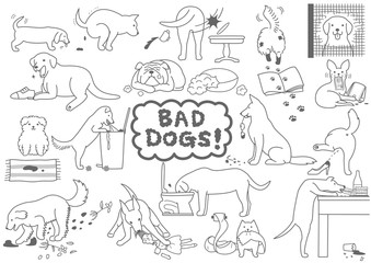 bad dogs set
