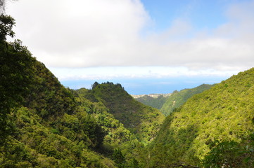 Isla de Madeira Caldera Verde 