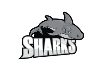 sharks illustration design