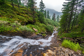Fototapeta na wymiar Waterfall on a mountain stream, a top view