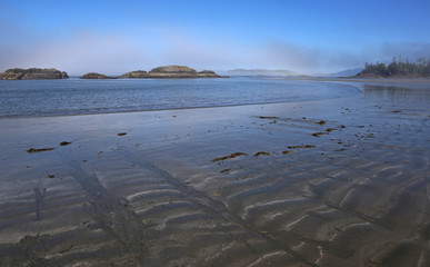 A misty beach at Tofino, British Columbia, Canada, shot in the morning..