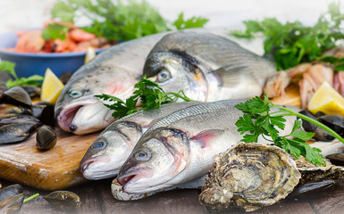 Fresh seafood on wooden board.