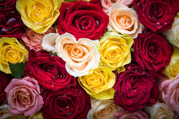 bouquet of roses with dew drops