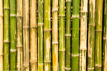 bamboo partition