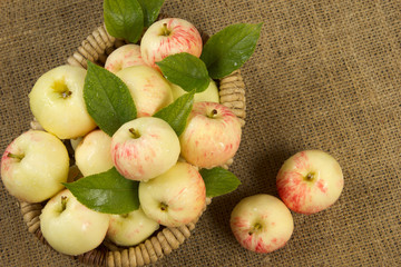 ripe apples in a beautiful wicker basket