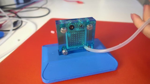 Student teen girl with experiment PEM proton exchange membrane reversible fuel-cell
