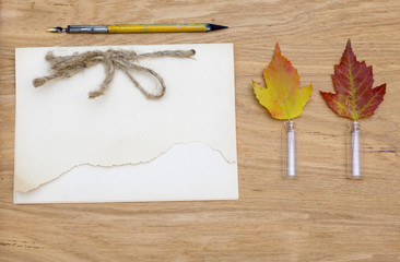 Autumn background. Frame composed of colorful leaves