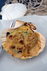 coquille saint-jacques 12082016