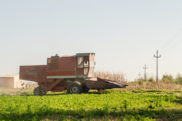 harvester in a field