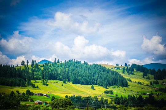 Fototapeta mountain on which grows spruce forest andsky with white clouds