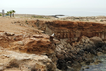 geological layers on the coast / rocky coastline in Cyprus