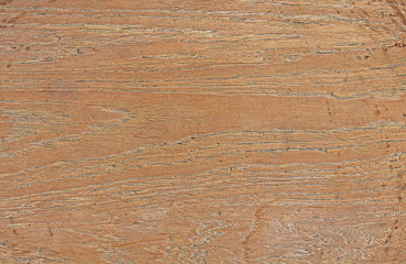 Wood Texture Background