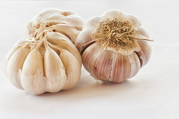 Garlic isolated on white background