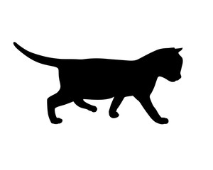 Kitten silhouette. Vector illustration