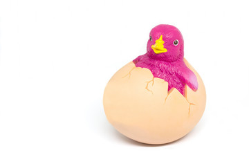 Doll chicken Pink in eggs