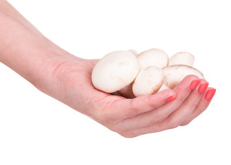 Raw dirty champignons