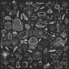 Hand drawn doodle Autumn icons set. Vector illustration. Fall symbols collection. Cartoon various seasonal elements: turkey, harvest, vegetables, pumpkin pie, leaves, trees, hot tea, wine, mushrooms