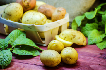 raw potatoes on the table