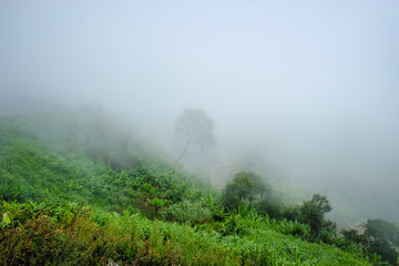 Morning fog on the mountains. in Thailand.