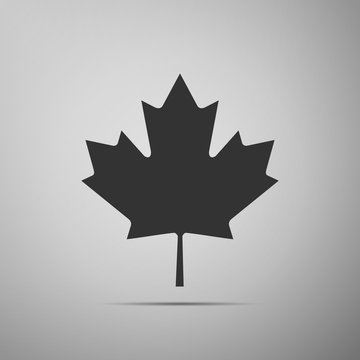 Canadian Maple Leaf icon on grey background. Adobe illustrator