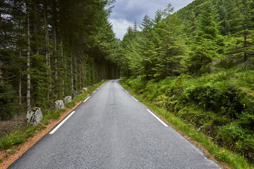 Scenic winding road through green forest in Norway