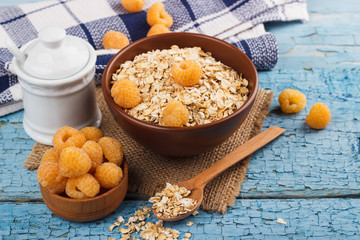 Portion of oatmeal in the bowl with yellow berries