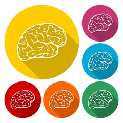 Vector collection of brains