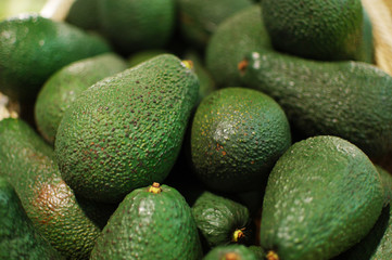 Bunch of green Avocados in basket in store shop. Close up of avocados