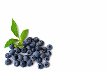 Blueberries with leaves on white background on left hand side