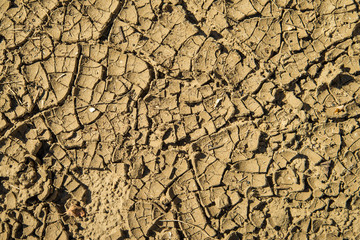 Cracked dry land in a desert