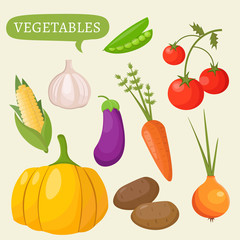 Garden colorful designs elements vector farm illustration icon set of different gardening equipment, tools, vegetables and plants.
