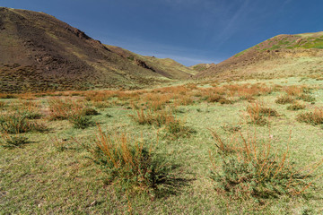 light summer at Guruan Saikhan National Park via Dalanzadgad city in Mongolia in May 2016