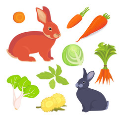 Hare and rabbit cartoon illustration. Rabbits food vector collection