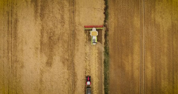 Aerial view looking down onto a combine harvester cutting corn crops on a summers day while a tractor follows behind